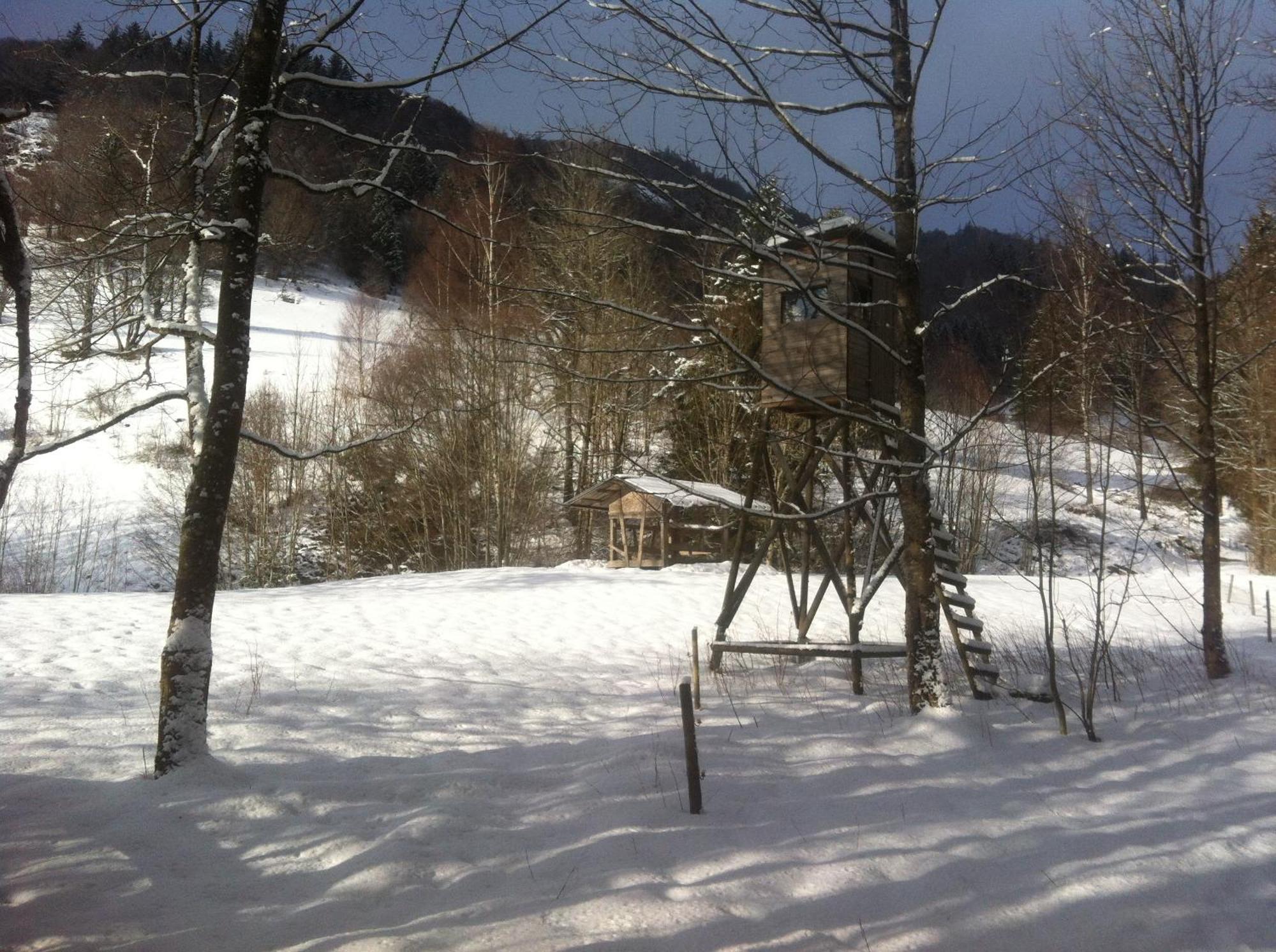 Ferienwohnung Haus Edeltraud Im Suedschwarzwald, Grosse, Helle, Ruhige Souterrain-Whg, Hunde Geeignet, Mit 2 Fahrraedern, 3 Baeckereien Mit Fruehstueck, 2 Lebensmittel-, 1 Italien-Pastalaeden, Kontakt Peter Heubueschl Aus Loerrach Rheinfelden  Exterior foto