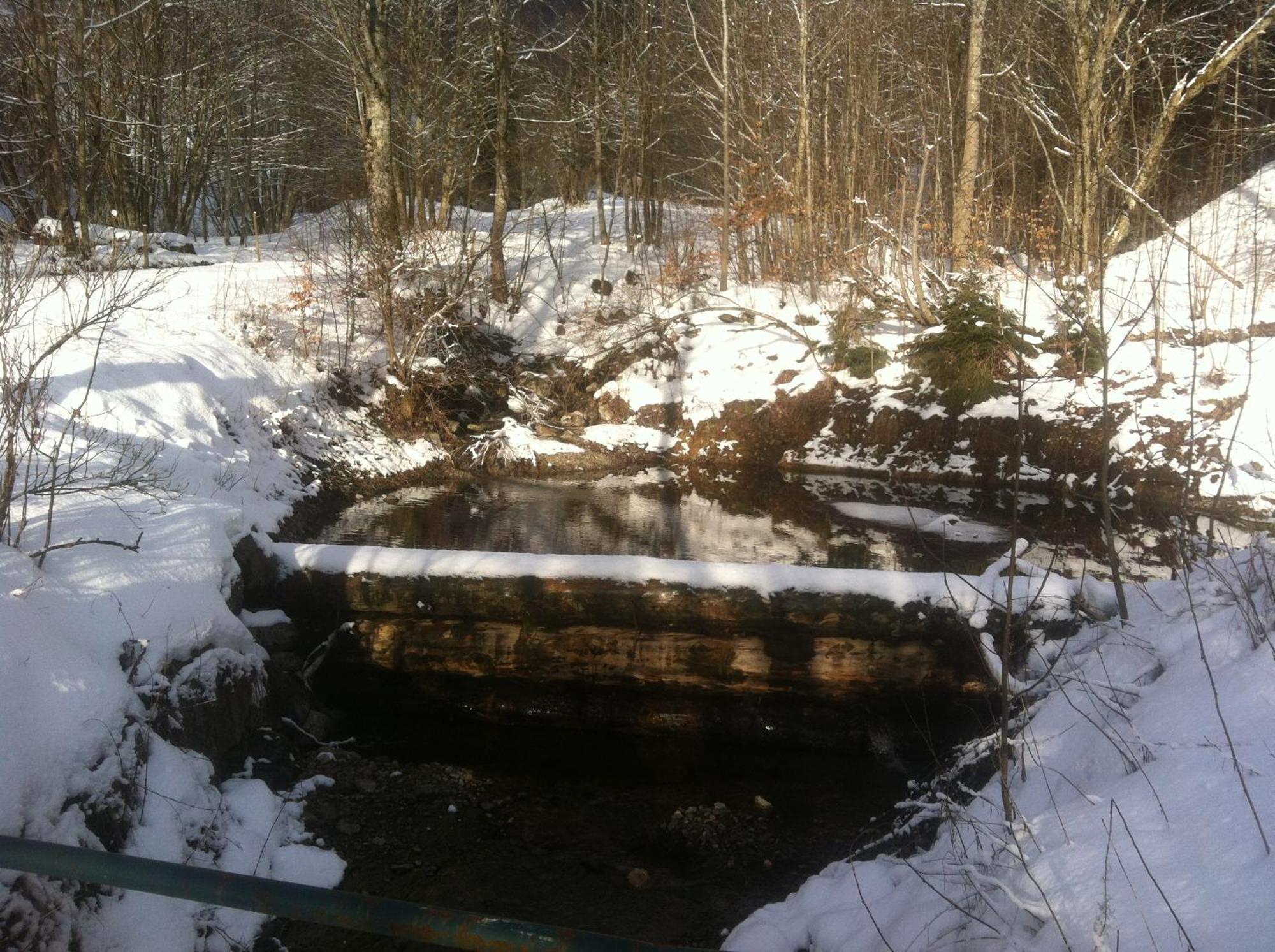 Ferienwohnung Haus Edeltraud Im Suedschwarzwald, Grosse, Helle, Ruhige Souterrain-Whg, Hunde Geeignet, Mit 2 Fahrraedern, 3 Baeckereien Mit Fruehstueck, 2 Lebensmittel-, 1 Italien-Pastalaeden, Kontakt Peter Heubueschl Aus Loerrach Rheinfelden  Exterior foto